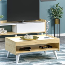 ჟურნალების მაგიდა j0426